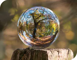 Glass marble reflecting nature around it